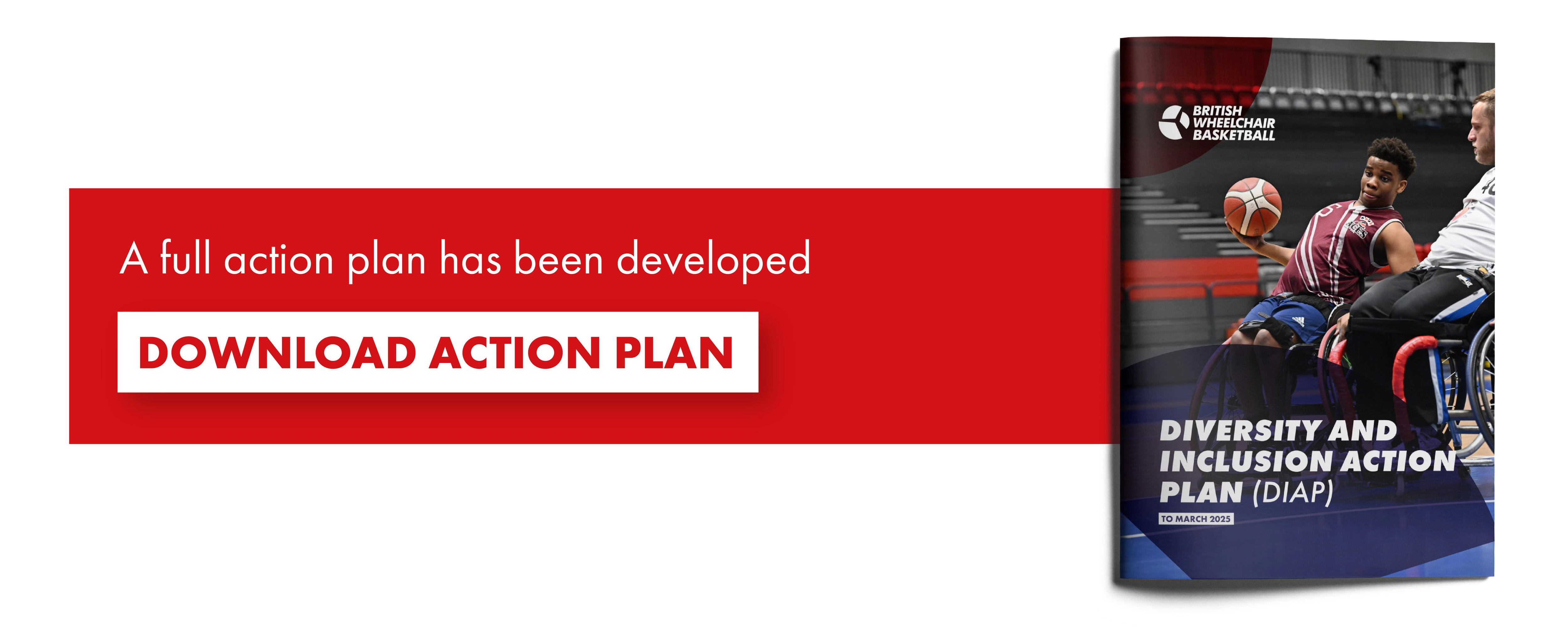 A full action plan has been developed. Download the action plan.